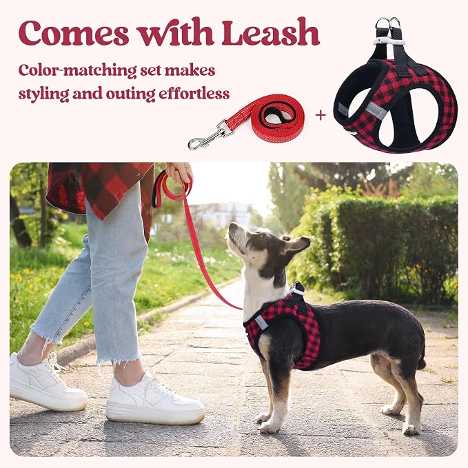 rabbitgoo Dog Harness Small Sized and Leash Set, Step-in Puppy Pet Vest | Light, Soft, Breathable Air Mesh, Easy on and Remove with Hook & Loop, Secure Reflective for Walking, Red Check XS - Image 6