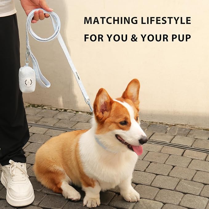 Morning Glory Dog Poop Bag Holder for Leash, Stylish Waste Bag Dispenser with Secure Clip, Durable Lightweight Dog Walking Accessory, Portable Poop Bag Carrier Fits Standard Rolls - Blue - Image 4