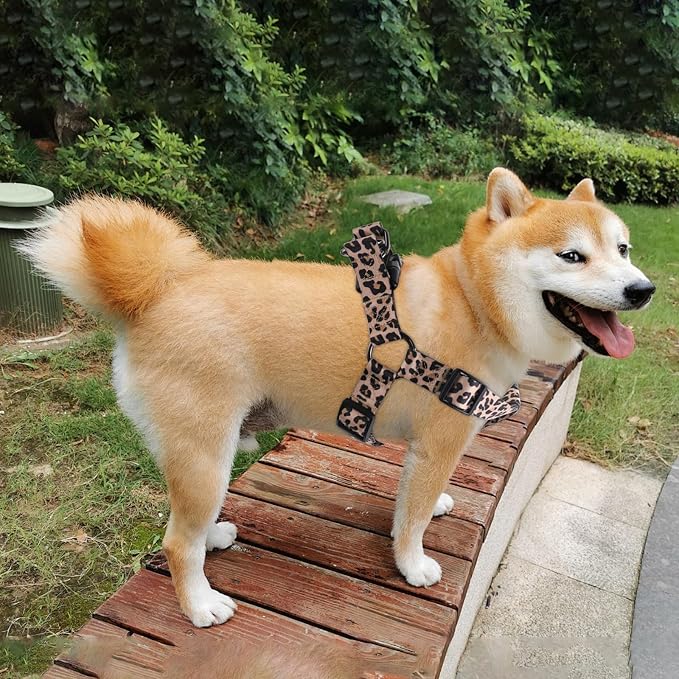 Dog Harness Leash Set Adjustable Heavy Duty No Pull Halter Harnesses for Small Medium Large Breed Dogs Back Clip Anti-Twist Perfect for Walking - Image 2