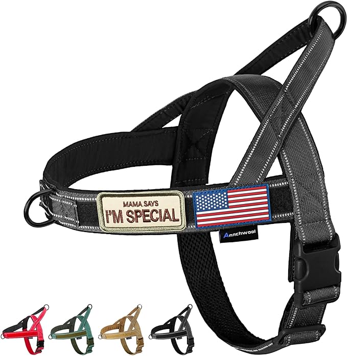 Annchwool No Pull Dog Harness with Soft Padded Handle,Reflective Strip Escape Proof and Quick Fit to Adjust Dog Harness,Easy for Training Walking for Small & Medium and Large Dogs(Black,M) by Annchwool