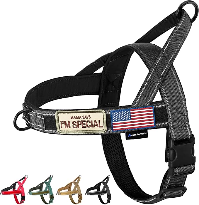 Annchwool No Pull Dog Harness with Soft Padded Handle-Reflective Strip Escape Proof and Quick Fit to Adjust Dog Harness-Easy for Training Walking for Small & Medium and Large Dogs(Black,XS,1 In Width) by Annchwool