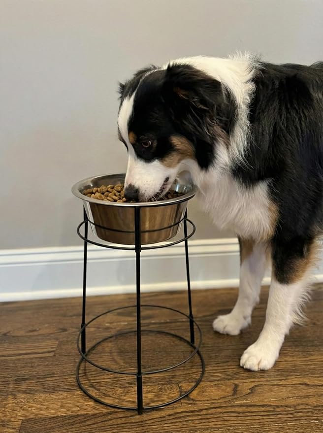 SPOT Hi Rise Single Diner Elevated Dog Feeder, 2qt Stainless Steel Bowl, Durable Wire Stand, Hygienic, Easy to Clean, Promotes Proper Posture for Tall Pets, Ideal for Medium and Large Breeds, 14.25in - Image 7
