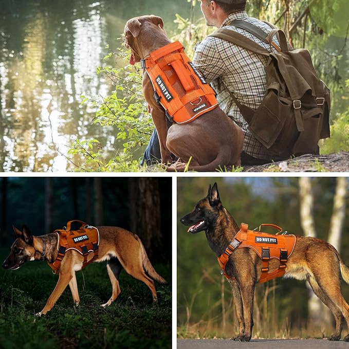 WINSEE Tactical Molle Vest Mesh Dog Harness with 10 Removale Pet Patches | Breathable Service Dog harness with Double Soft Padded Handle for Medium Dog, Reflective Military Pet Vest for Walk Hiking - Image 8