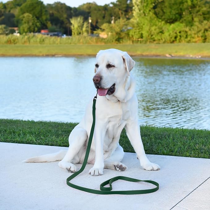 Dogline Biothane Waterproof Dog Leash Strong Coated Nylon Webbing with Black Hardware Odor-Proof Easy to Clean High Performance for Small or Large Dogs Made in USA 4 or 6 ft Lead, Hunter Green - Image 5