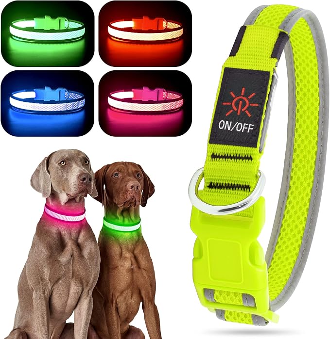 YFbrite Light up Dog Collar, USB Rechargeable LED Puppy Collar Super Bright Adjustable Glowing Dog Lights for Night Walking (Green, Medium) by YFbrite