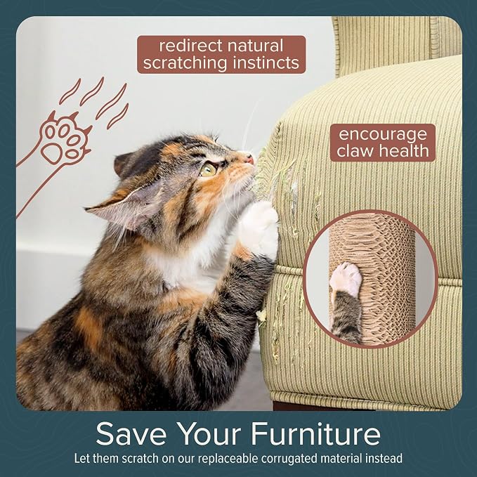 Cat Climbing Wall System – Modern Floating Shelves & Perches for Cats - Sunrise Steps | Ascentials by FurHaven - Image 9