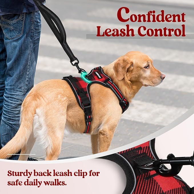rabbitgoo Dog Harness, No Pull for Large Dogs with 2 Leash Clips, Pet Vest | No Choke with Handle, Adjustable Soft Padded, Reflective, Easy Control for Walking, Red Plaid, Small - Image 6