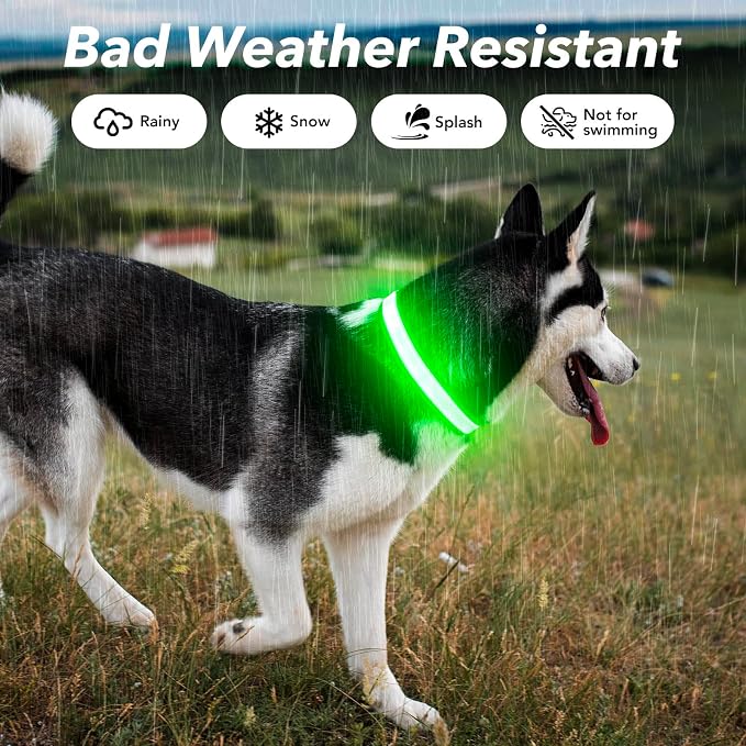 Visinite LED Dog Collar USB Rechargeable, Reflective Light Up Pet Collar for Night Walking, Adjustable Glow Collar for Small Medium Large Dogs (Green, L) - Image 4