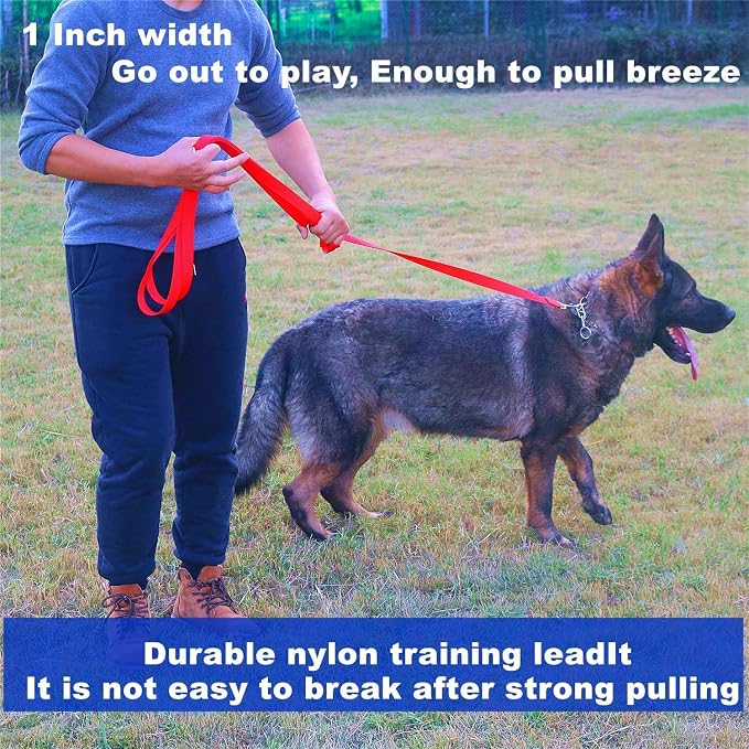 Strong Durable 6 ft Nylon Dog Training Leash, 1 Inch Wide Traction Rope, for Small and Medium Dog (Rainbow, 6 Feet) - Image 7