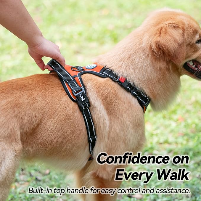 PoyPet No Pull Dog Harness Small with Front Clip & Neck Release Buckle | No Choke, Adjustable Vest, Reflective, Back Clip, Lockable, Soft Padded, Easy Control Handle for Walking Training, S, Orange - Image 6