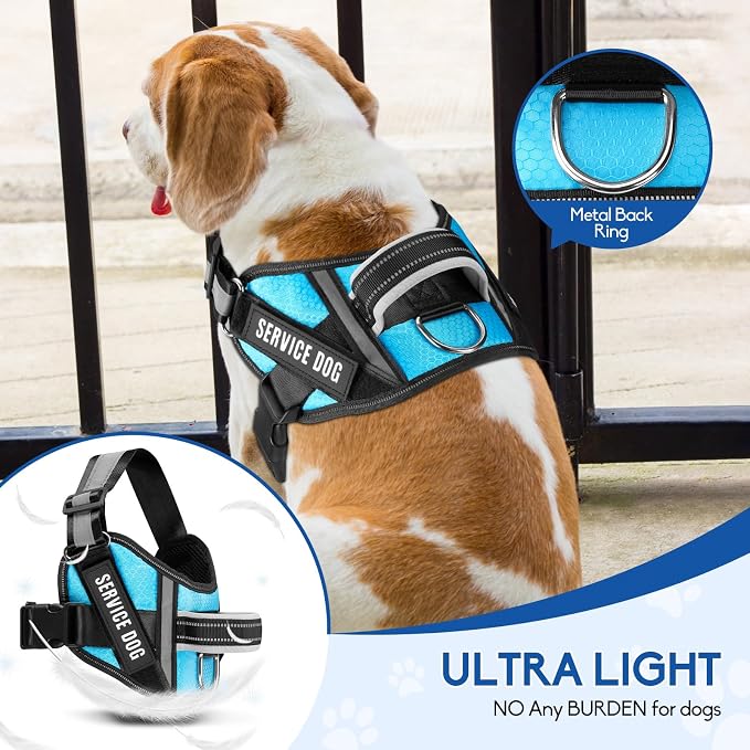 Service Dog Vest Harness and Leash Set, Animire in Training Dog Harness with 10 Dog Patches, Reflective Dog Leash with Soft Padded Handle for Dogs (Light Blue,Xs) - Image 2