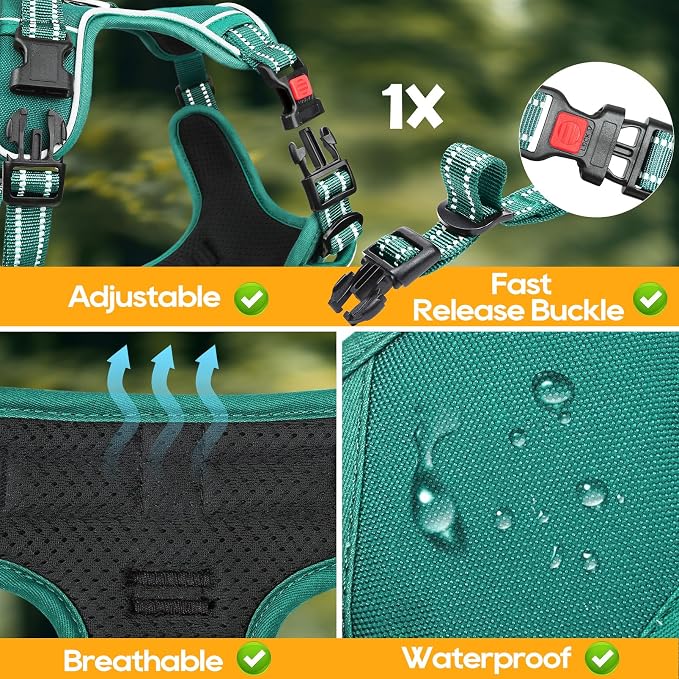 Timos Small Dog Harness, No Pull No Choke, Easy On & Off, Grass Green, S | Adjustable Reflective Soft Padded, Neck Quick Release with 3 Buckles, Front & Back 2 Clips and Handle for Walking Training - Image 6