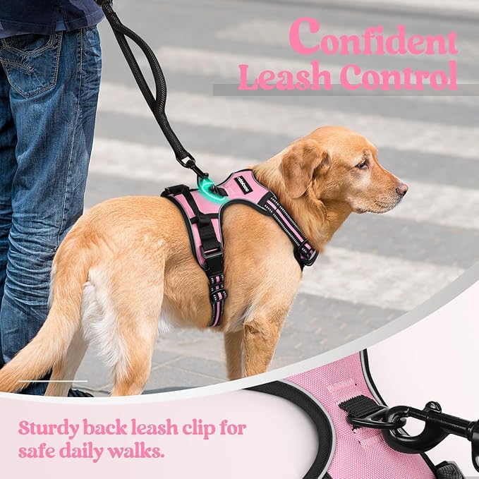 rabbitgoo Dog Harness, No Pull for Small Dogs with 2 Leash Clips, Pet Vest | No Choke with Handle, Adjustable Soft Padded, Reflective, Easy Control for Walking, Pink, Small - Image 6