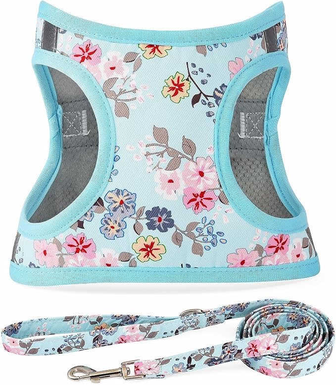 Step in Dog Harness Leash Set- All Weather Reflective No-Pull Floral Pattern Padded Mesh Vest Harness for Cats Puppy Extra-Small Small Medium Large Dogs - Bell Orchid - XS by MOONPET