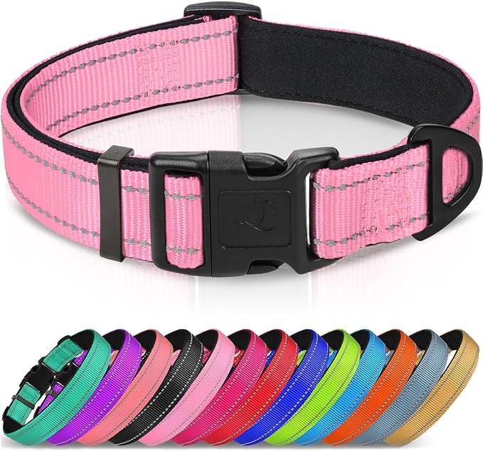 Joytale Reflective Dog Collar, Adjustable Neoprene Padded, Pink XS | Breathable Nylon for Puppies and Small Breeds, No Chafing on Walks and Indoor Training, Light Metal D-Ring, Night Safety by Joytale