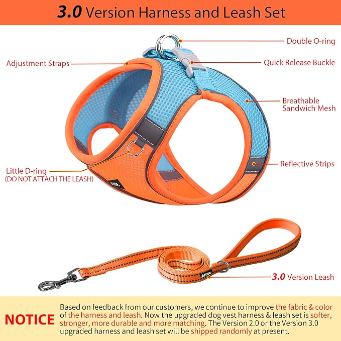 AIITLE Small Dog Harness and Leash Set, Step-in Puppy Pet Vest, Orange XXS | Breathable Mesh, Adjustable Fit, Reflective Design, Padded Leash Handle, for Small-Medium Dogs & Cats, Walking, Training - Image 5
