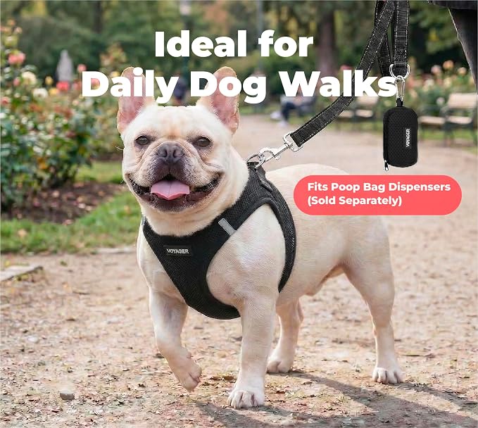 Best Pet Supplies Voyager Nylon Dog Leash - Black, Large | 5ft in Length, 1" in Width, Reflective, Soft Neoprene Handle, Heavy Duty Metal Clips for Running, Walking & Training - Image 3