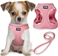 YIMEIS Dog Harness and Leash Set, No Pull Soft Mesh Pet Harness, Reflective Adjustable Puppy Vest for Small Medium Large Dogs, Cats (Pink, Small (Pack of 1) by YIMEIS
