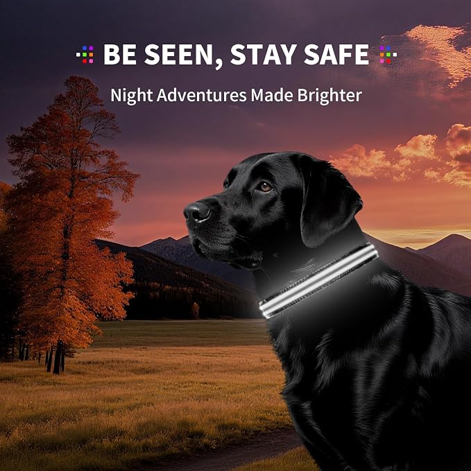 Light Up Dog Collar for Night Walking, Reflective LED Collar(White, M) | Bright Safety Glow in the Dark, Adjustable Comfort Fit, Waterproof, Long Runtime, Easy USB-C Charging - Image 7