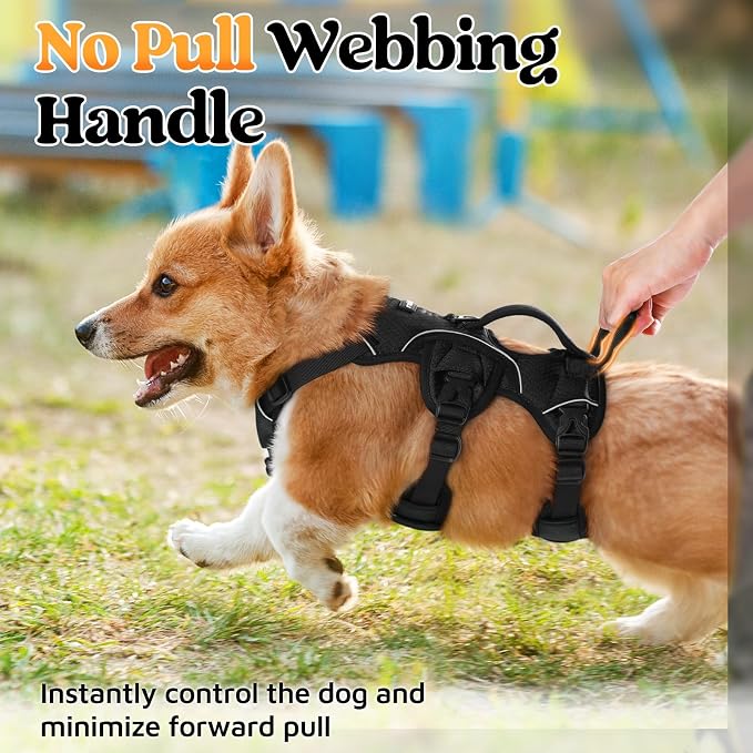 rabbitgoo Escape Proof Dog Harness for Small, No Pull with Lift Handle | No Escape, Full Soft Padded, Reflective Adjustable Vest, Leash Clip for Walking Hiking Training, Black, Small - Image 4