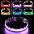 USB Rechargeable LED Dog Collar, Waterproof, Adjustable, Glowing, for Medium Dogs, Night Walking, Camping, Jogging, Purple, M (Neck 15-24", Width 1") by Aiminto-Alwaysyourgoodmate