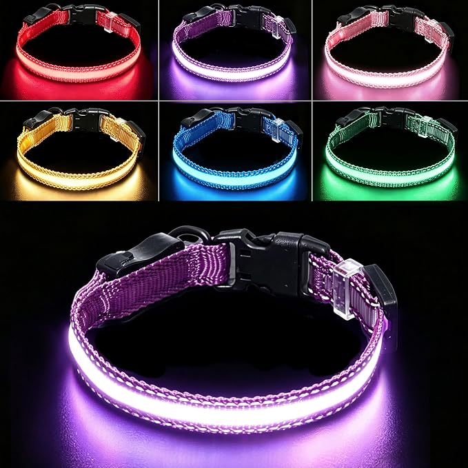 USB Rechargeable LED Dog Collar, Waterproof, Adjustable, Glowing, for Extra Small Dogs, Night Walking, Camping, Jogging, Purple, XS (Neck 9-13", Width 5/8") by Aiminto-Alwaysyourgoodmate