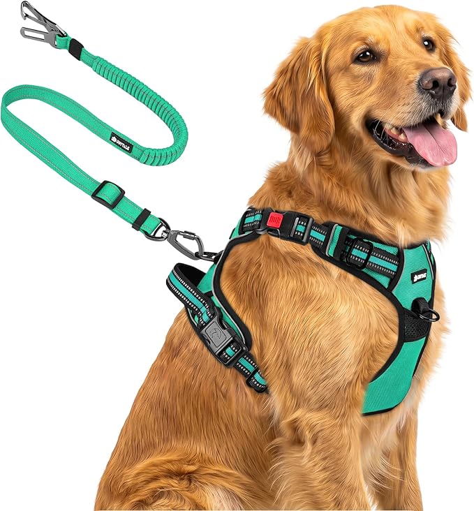 Joytale No Pull Dog Harness & Seat Belt, Easy On 3-Buckle, XL, Teal | Front Clip Reduces Pulling, Escape-Resistant Design, Adjustable Fit, Soft Padding for Comfort, Secure Tether for Safer Travel by Joytale