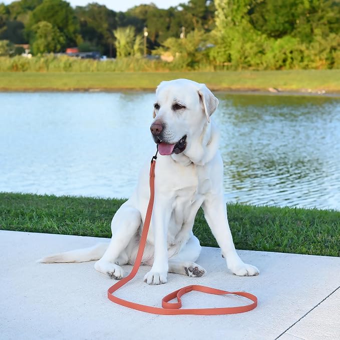 Dogline Biothane Waterproof Dog Leash Strong Coated Nylon Webbing with Black Hardware Odor-Proof Easy to Clean High Performance for Small or Large Dogs Made in USA 4 or 6 ft Lead, Coral - Image 5