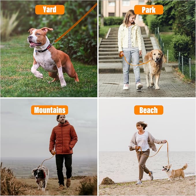 Long Line Dog Training Leash with Padded Handle, 100 ft, Orange | Durable nylon webbing with reinforced stitching and 360° swivel clip for recall and obedience - Image 8