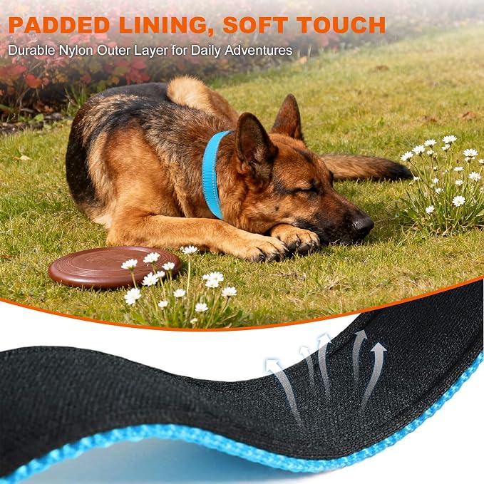 Taglory Reflective Dog Collar for Large Dogs, Soft Neoprene Padded with Escape-Proof Locking Buckle, Upgraded Zinc Alloy Ring, Adjustable for Pitbull Labrador Retriever, SkyBlue,L - Image 4