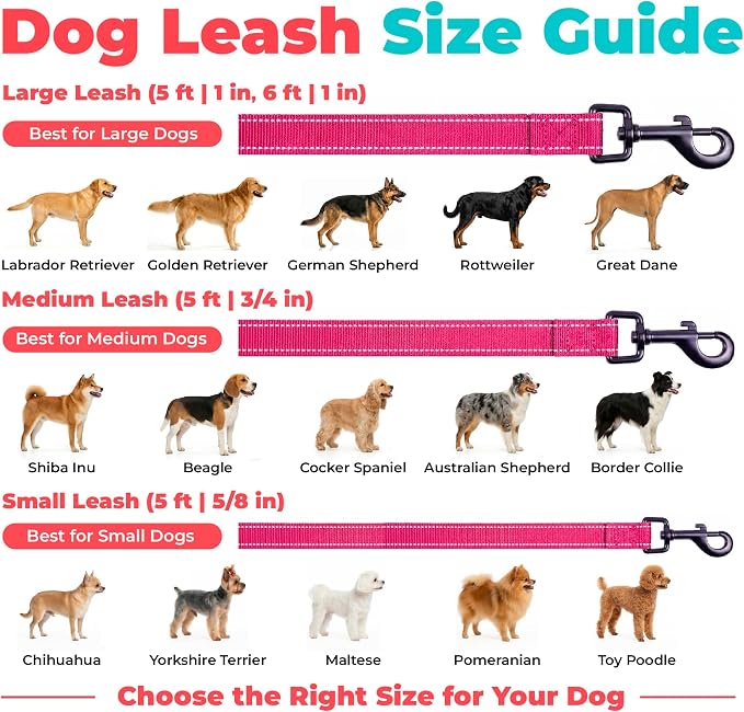Best Pet Supplies Voyager Nylon Dog Leash - 6ft Fuchsia, Large | 6ft in Length, 1" in Width, Reflective, Soft Neoprene Handle, Heavy Duty Metal Clips for Running, Walking & Training - Image 6