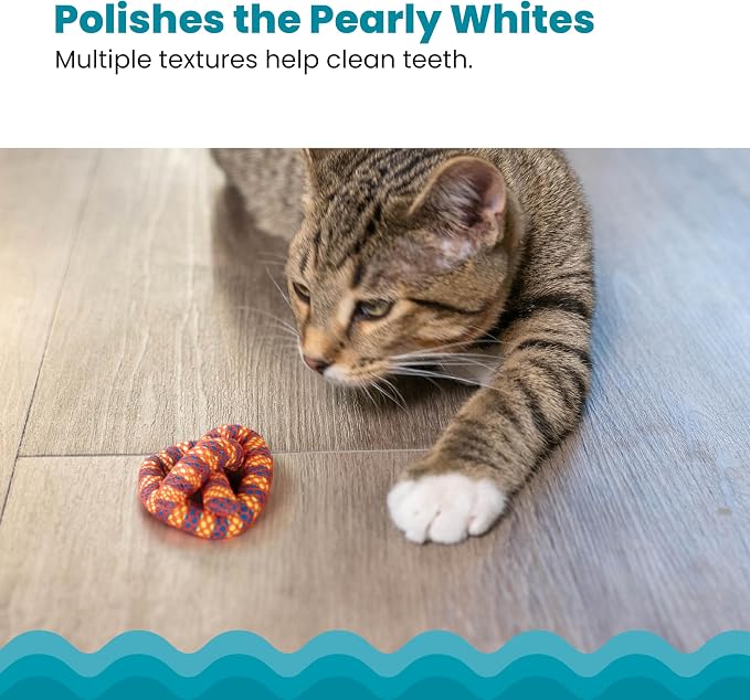 Catstages Catnip Plaque Away Pretzel Interactive Cat Dental Chew Toy, 2.8" | Multiple Textures Help Keep Teeth Clean & Massages Gums, Contains Catnip, Bat & Chase, Enrichment for Cats & Kittens - Image 4