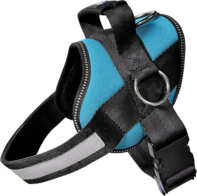 Joyride Basic Dog Harness 1.0 | Teal Ocean | 2XL | Adjustable pet vest with 3 side leash rings for training, walking and improved control for small, medium or large dogs by JoyrideHarness