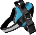 Joyride Basic Dog Harness 1.0 | Teal Ocean | S | Adjustable pet vest with 3 side leash rings for training, walking and improved control for small, medium or large dogs by JoyrideHarness
