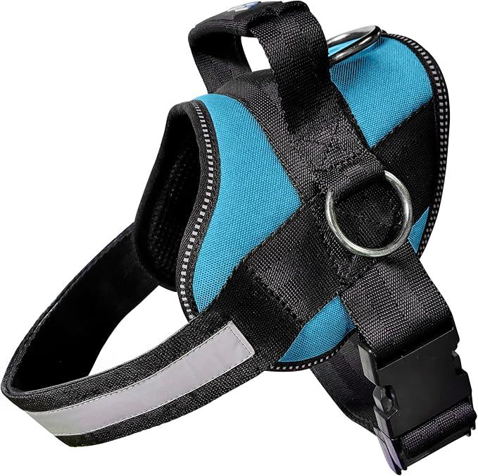 Joyride Basic Dog Harness 1.0 | Teal Ocean | S | Adjustable pet vest with 3 side leash rings for training, walking and improved control for small, medium or large dogs by JoyrideHarness