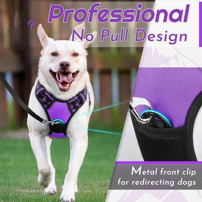 Eagloo Dog Harness for Large Dogs, No Pull Pet Vest with 2 Leash Clips | No Choke with Handle, Adjustable Comfort Fit, Reflective Strips, Easy Walking Control, Purple, Large - Image 2