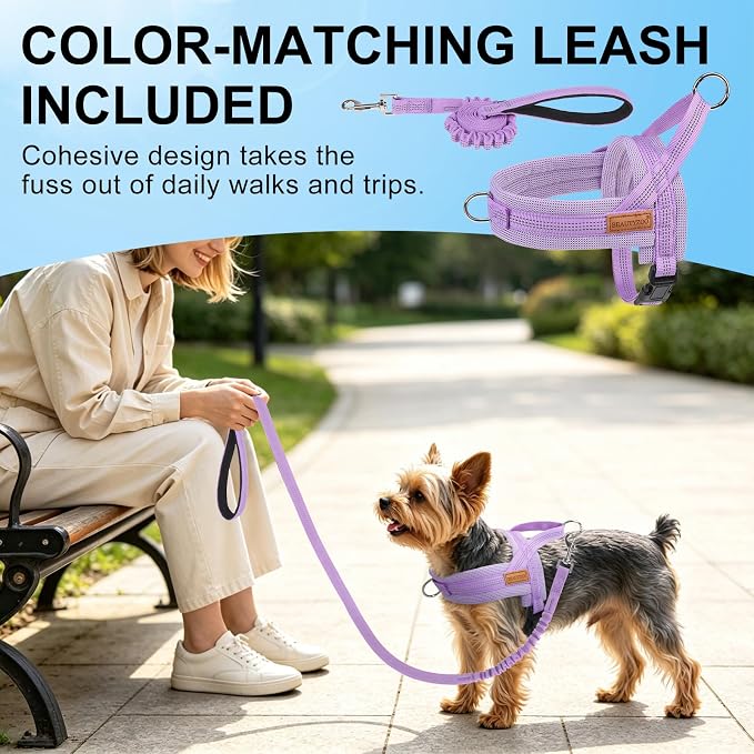 BEAUTYZOO Small Dog Harness and Leash Set, No Pull Step in Puppy Vest | Breathable Mesh with Handle, Reflective, Adjustable No Choke Escape Proof, Lightweight, Easy Control for Walking, Purple S - Image 8