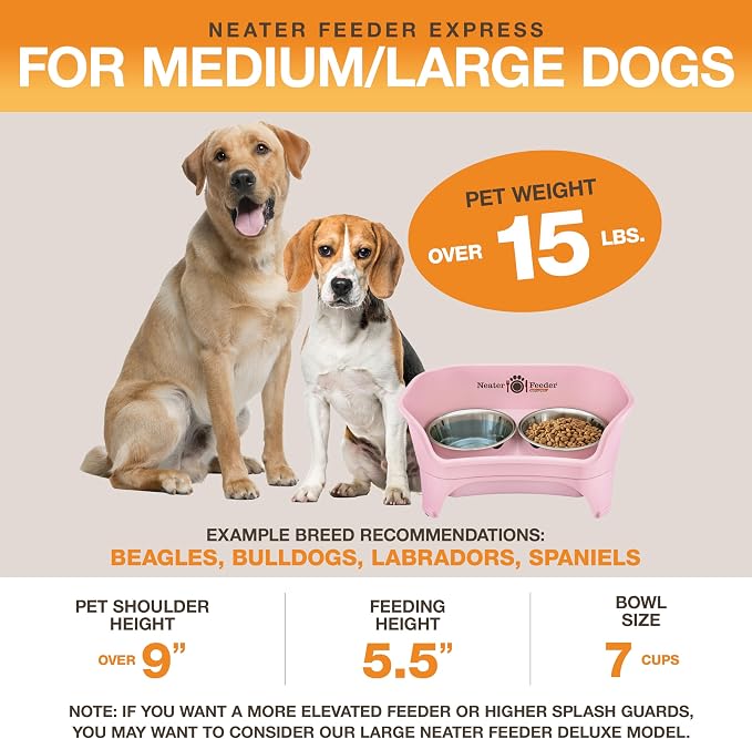 Neater Feeder Express Mess Proof Dog Bowls Elevated for Medium to Large Sized Breed, No Spill Raised Dog Food Bowl Stand, Stainless Steel Food and Water Bowl Set, Pet Dish Feeding Station, Pink - Image 5