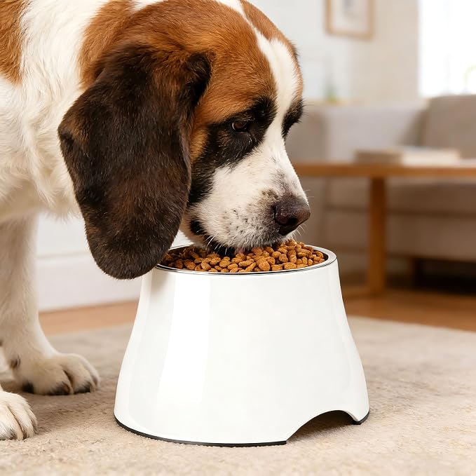 Dog Bowls,Cone Friendly Non Slip Single Dog Bowl with Stainless Steel Inner, Raised Bowls for Small Dogs Spaniel Dogs Long Ear, High Capacity, M/2 Cup White - Image 7