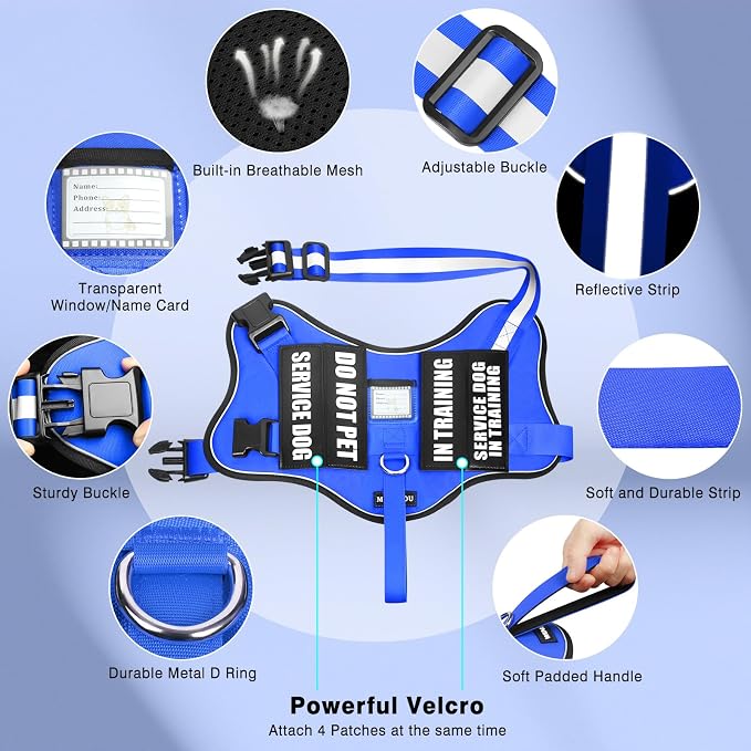 Service Dog Vest Harness and Leash Set+10 Patches,Easy Walk Blue S | No Pull&Adjustable Reflective Dog Harness Small Sized,Dog Leash with 2 Soft Padded Handles,for Training Hiking Walking - Image 3