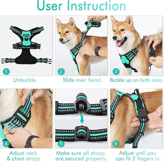 rabbitgoo Dog Harness, No Pull for Small Dogs with 2 Leash Clips, Pet Vest | No Choke with Handle, Adjustable Soft Padded, Reflective, Easy Control for Walking, Turquoise, Small - Image 8