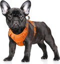 BARKBAY No Pull Dog Harness Large Reflective Dog Harness with Front Clip and Easy Control Handle for Walking Training Running with ID tag Pocket(Orange,S) by BARKBAY