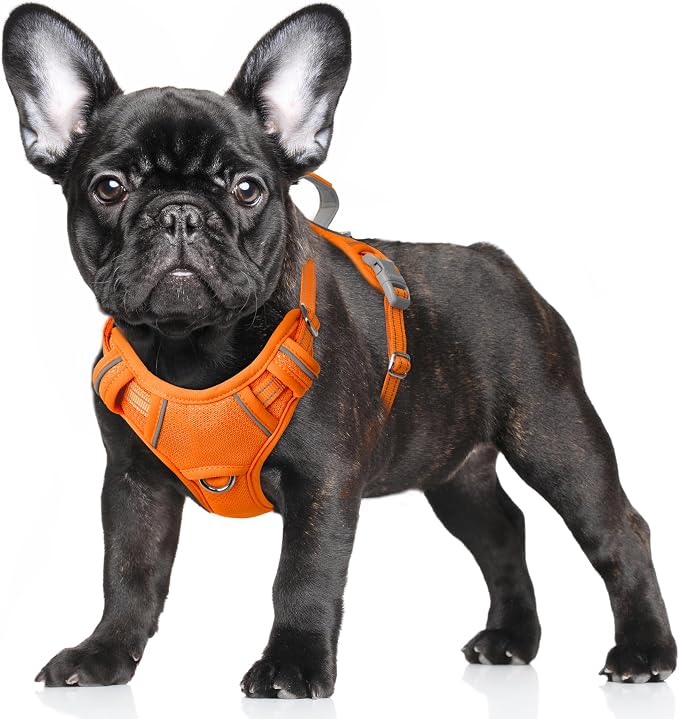 BARKBAY No Pull Dog Harness Large Reflective Dog Harness with Front Clip and Easy Control Handle for Walking Training Running with ID tag Pocket(Orange,S) by BARKBAY