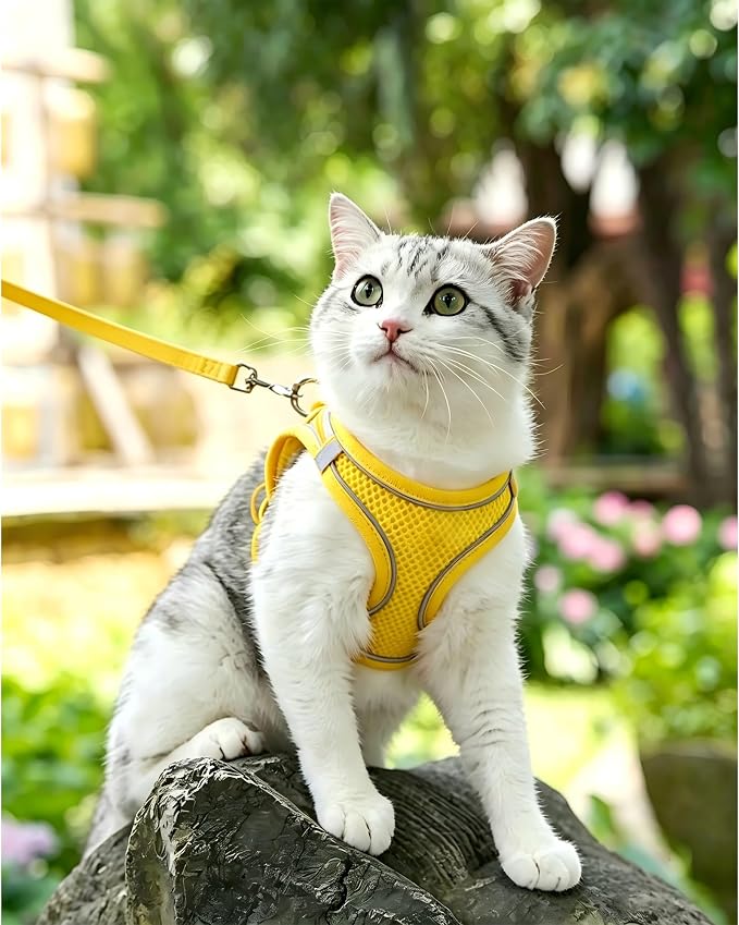 XXS Yellow Soft Mesh Dog Harness and Leash Set,No Escape Puppy Harnesses for Training Walking， Reflective Adjustable Puppy Vest for Small Medium Dogs, Cats (Yellow, XXS) - Image 2