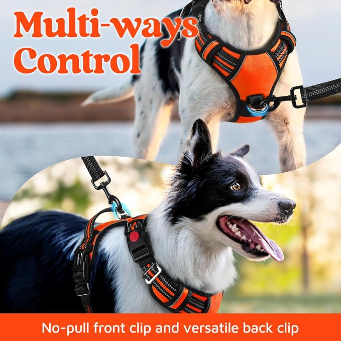 rabbitgoo Dog Harness Medium Sized, No Pull 3 Buckles Easy On & Off | Soft Padded, Walking with Control Handle, Adjustable and Reflective, Orange, Medium - Image 3