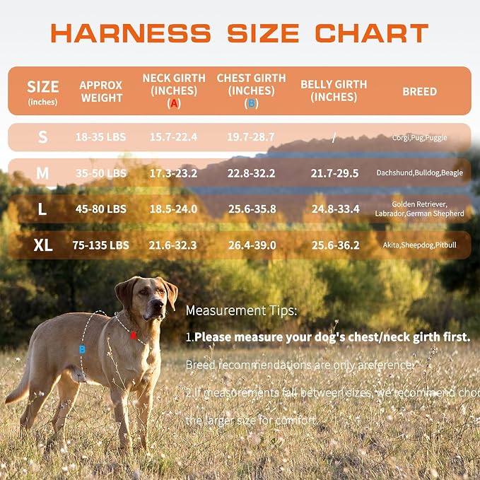Dog Harness for Large Dogs, No Pull Tactical Vest with Front Clips | Easy Contrl Handle, Breathable Soft Padded, Adjustable, Reflective, Heavy Duty, Easy Take On & Off, Orange Large - Image 6