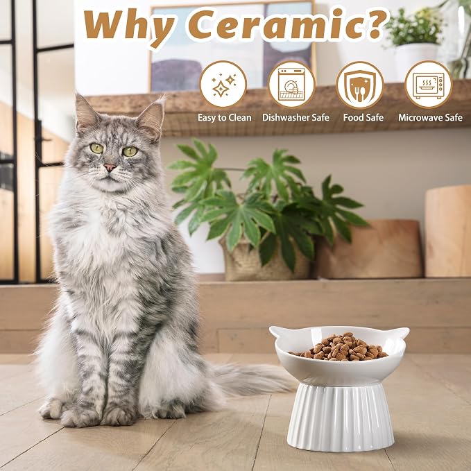 Ceramic Raised Cat Bowl，Tilted Raised Cat Bowl Anti Vomit Cat Bowls for Indoor Cats Whisker Friendly Pet Feeder for Cats Puppies, Microwave and Dishwasher Safe - Image 6