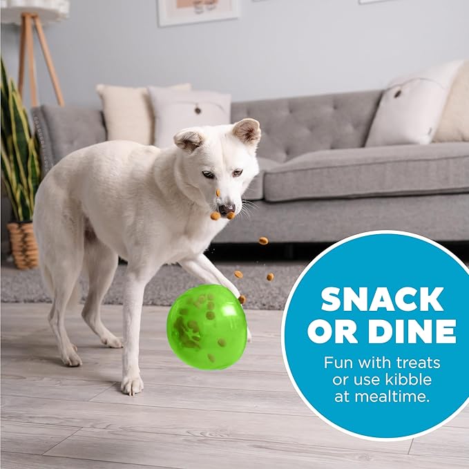 Outward Hound by Planet Dog Snoop Dog Toy – Treat‑Dispenser Puzzle Ball,Interactive Slow Feeder,Medium to Large Dogs,Bouncy & Mint-Infused,Green,5",(Pack of 2) - Image 6