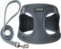 Dog Harness with Leash Set, Step-in Adjustable Puppy Pet Vest, Grey XL | Lightweight Breathable Air Mesh, Night Safety Reflective, No Pull Puppy Vest Harnesses for Small Medium Large Dogs, Cats by BOOMIBOO