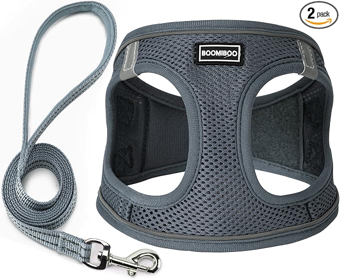 Dog Harness with Leash Set, Step-in Adjustable Puppy Pet Vest, Grey XXS | Lightweight Breathable Air Mesh, Night Safety Reflective, No Pull Puppy Vest Harnesses for Small Medium Large Dogs, Cats by BOOMIBOO